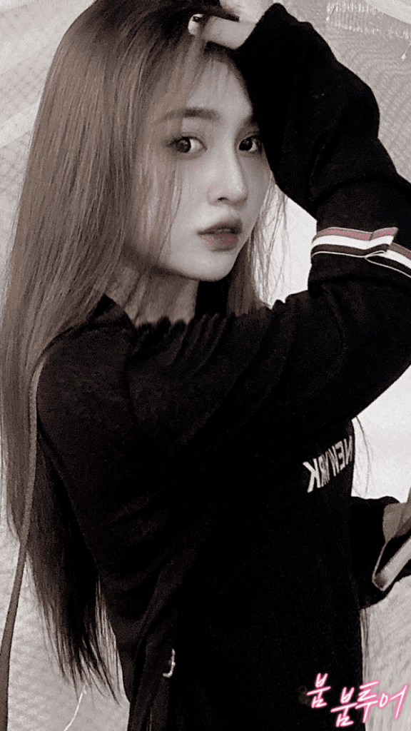 다낭에코걸